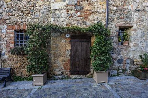 Rustic stone wall with plants and wooden door Stock Photos