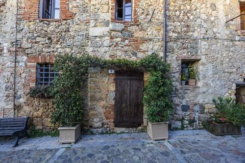 Rustic stone wall with plants and wooden door Stock Photos