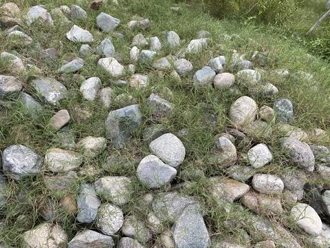 Rustic Stones &amp; Verdant Grass Foto stock