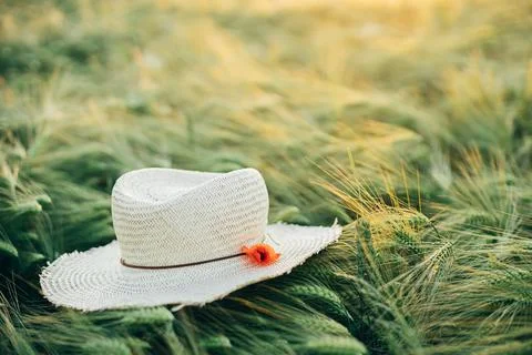 Rustic straw hat and red poppy on barley ears in evening field close up. Wi.. Stock Photos