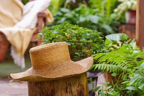 Rustic straw hat resting in lush garden with cozy armchair and soft throw i.. Stock Photos