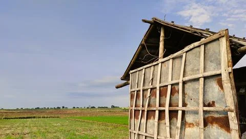 Rustic Structure in Agricultural Landscape Stock Photos