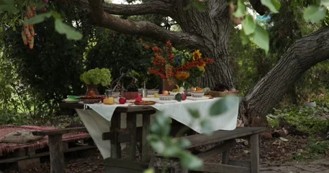 Rustic style fall setted table for Thanksgiving dinner at autumn garden party Stock Footage 164767501
