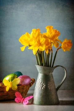 Rustic styled still life of bunch of yellow daffodils in vintage water jug Stock Photos