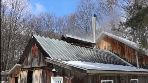 Rustic Sugar Shack Steaming in Winter Forest Stock Footage 173312600