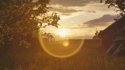 Rustic summer landscape in the rays of the evening sun. Stock Photos