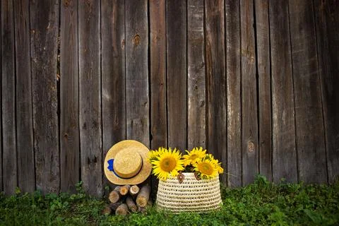 Rustic summer scene with sunflowers in a wicker bag, straw hat and firewood b Stock Photos