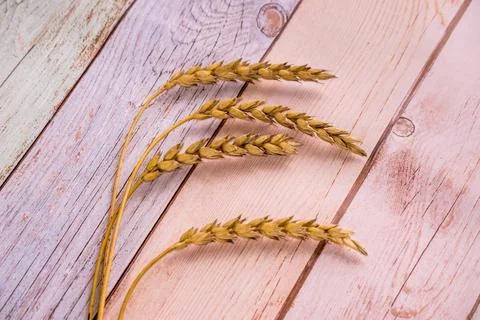 Rustic summer style. Cereals, rye and wheat. Stock Photos