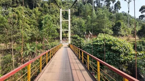 Rustic Suspension Bridge in Tropical Paradise Stock Footage 290080225