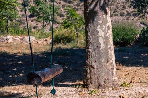 A rustic swing set amidst a natural landscape Stock Photos