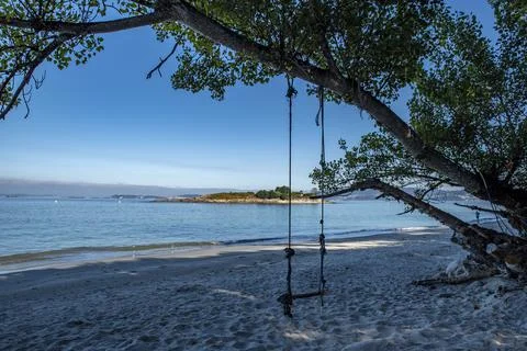 Rustic Swing at tree on the sand  beach Stock Photos