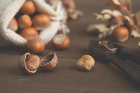 Rustic table with hazelnuts and nutcracker Stock Photos