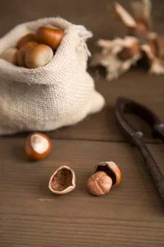 Rustic table with hazelnuts and nutcracker Stock Photos