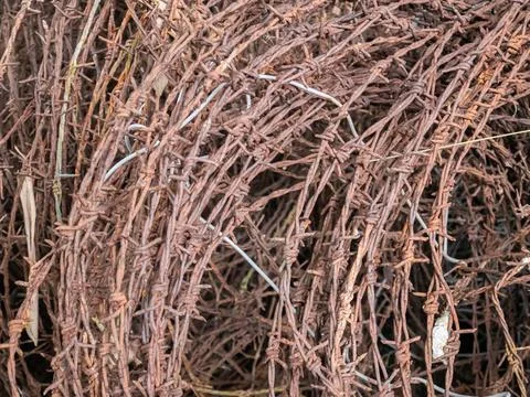 Rustic Tangled Metal Wire Texture Stock Photos