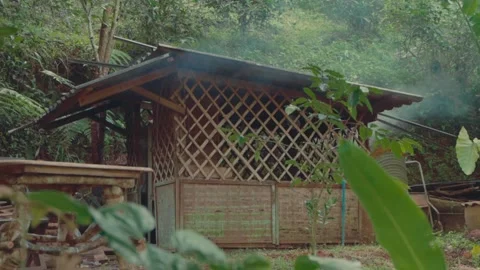 Rustic Tea Cabin in Forest – Traditional Processing Hut Stock Footage 306436505