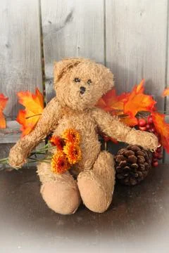 Rustic teddy bear Stock Photos