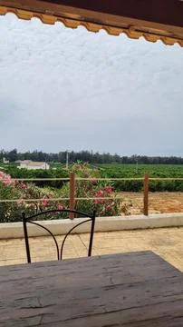 Rustic Terrace View Over Countryside Orchard Fields Fotos de archivo