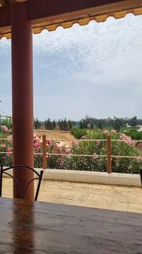 Rustic Terrace View Over Countryside Orchard Fields Stock-Fotos