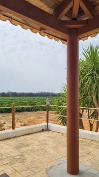 Rustic Terrace View Over Countryside Orchard Fields Stockfoto's