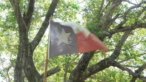 Rustic Texas flag 스톡 동영상 10922156
