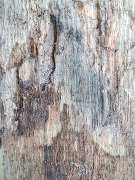 Rustic texture with natural tones Stock Photos