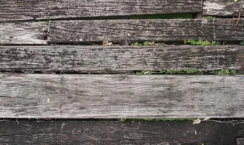 Rustic timber Foto stock