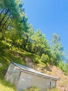Rustic Tin Shack Below a Steep, Pine-Covered Hillside Stock Photos