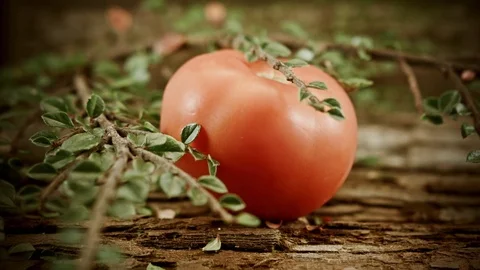 Rustic Tomato background HD stock footage Stock Footage 83257304