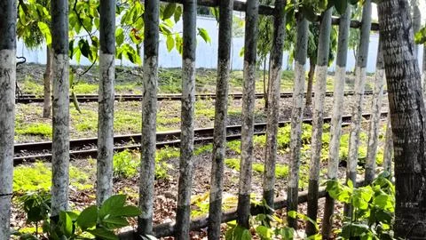 Rustic Train Tracks Behind a Weathered Fence Stock Photos