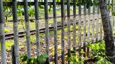 Rustic Train Tracks Behind a Weathered Fence Stock Photos