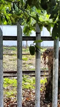Rustic Train Tracks Behind a Weathered Fence Stock Photos