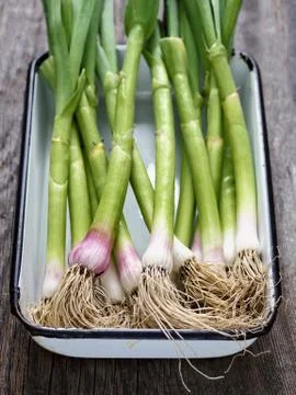 Rustic tray of leeks Stock Photos