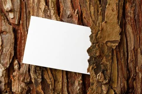 Rustic tree bark border Stock Photos