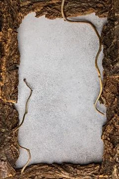 Rustic Tree Bark Frame with Branches for Natural Design and Background Use Stock Photos