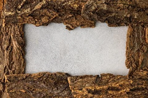 Rustic Tree Bark Frame with Natural Textured Blank Space for Creative Design Foto stock