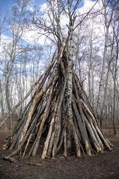 Rustic Tree Branch Structure in Forest Setting Stock Photos