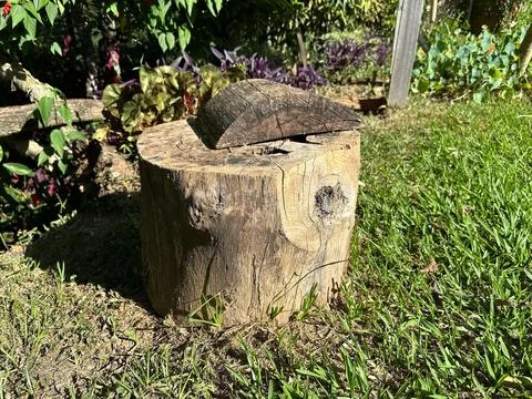 Rustic tree stump in the garden Stock Photos