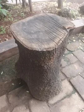 Rustic Tree Stump Seat Foto stock