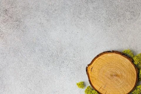 Rustic Tree Stump Slice with Moss on Textured Background for Nature-Themed .. Stock-Fotos