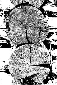 Rustic Tree Trunk Rings Texture Stock Illustration