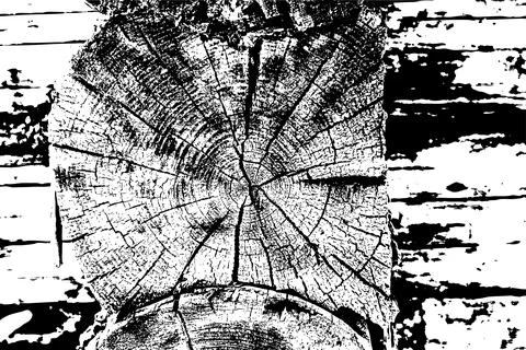 Rustic Tree Trunk Rings Texture Stock Illustration