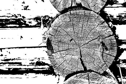 Rustic Tree Trunk Rings Texture Stock Illustration