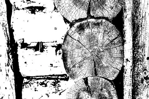 Rustic Tree Trunk Rings Texture Stock Illustration