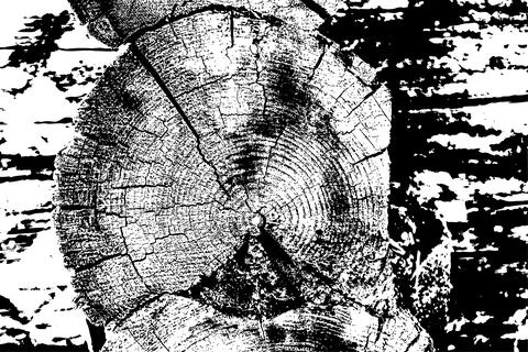 Rustic Tree Trunk Rings Texture Stock Illustration