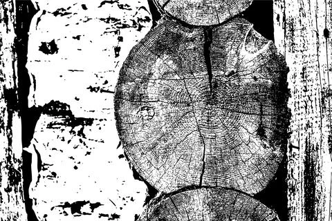 Rustic Tree Trunk Rings Texture Illustrazione stock