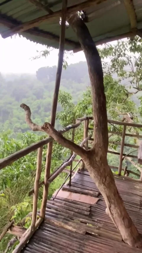 Rustic Treehouse Balcony Overlooking Green Jungle Canopy Vídeos de archivo 341317258