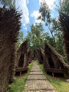 Rustic Twig Huts Draw Visitors Into Forest Village Stock Photos
