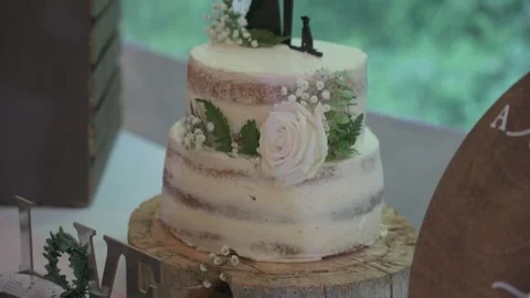 Rustic Two-Tier Wedding Cake with Silhouette Topper on Wood Slab Vídeo Stock 333944074