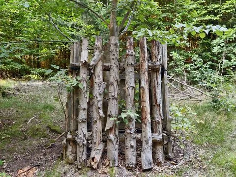 Rustic vertical log fence stacked of weathered timber stands upright amid l.. Stock Photos