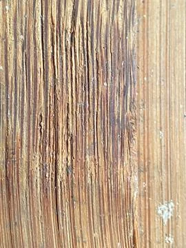 Rustic vertical wood grain texture close up background Stock Photos